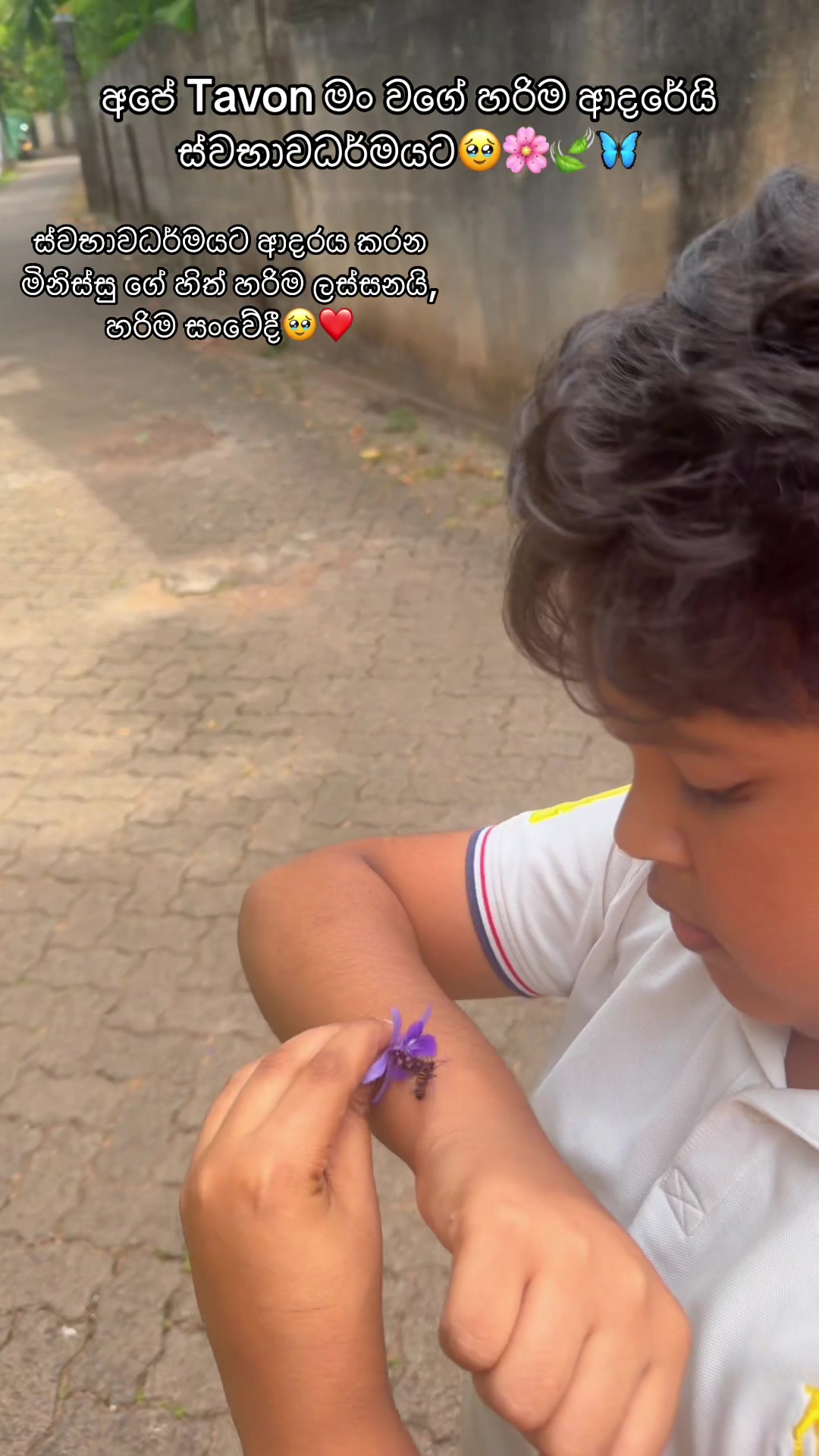 @Pushpika De Silva