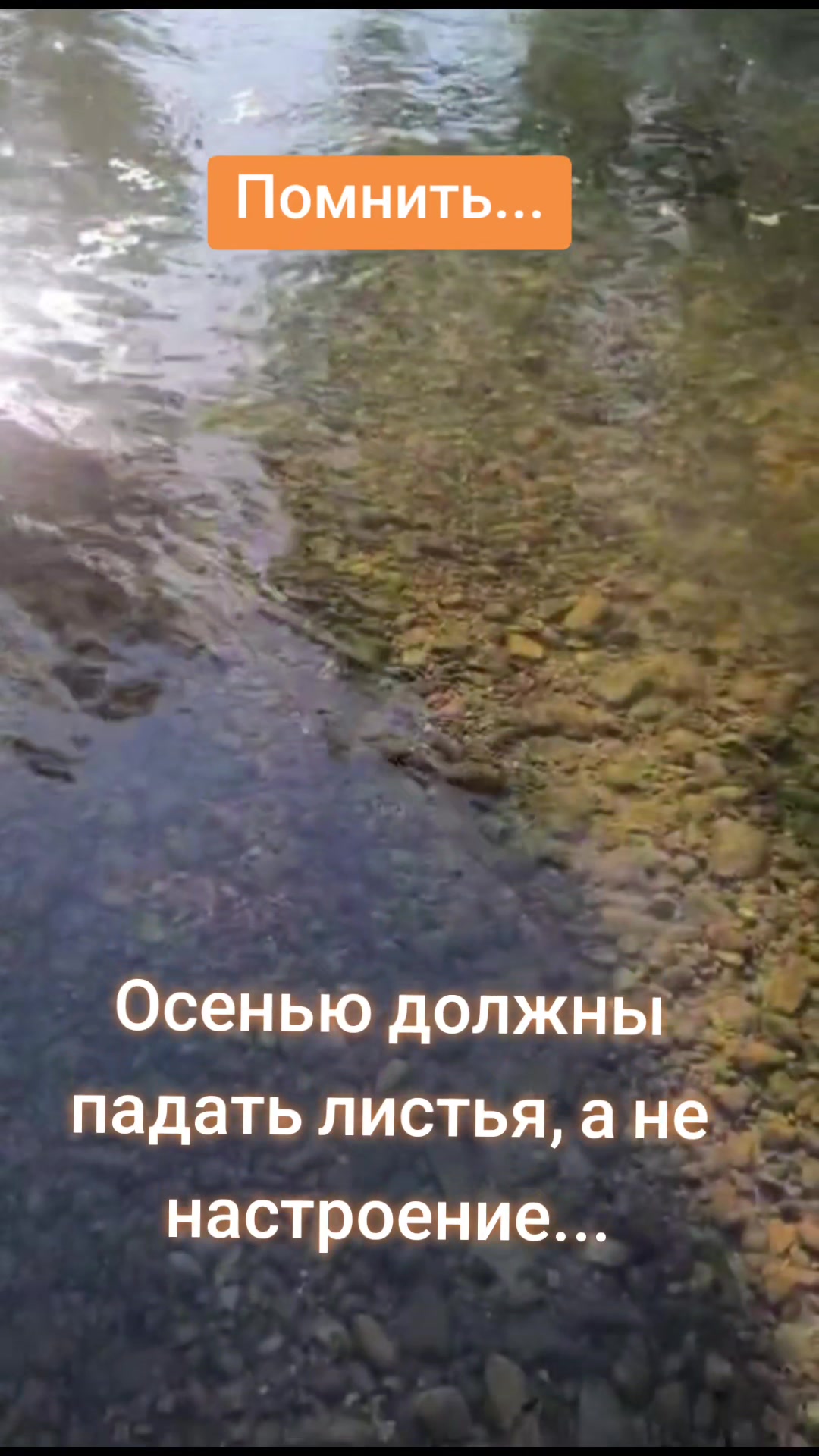 @Олюшка