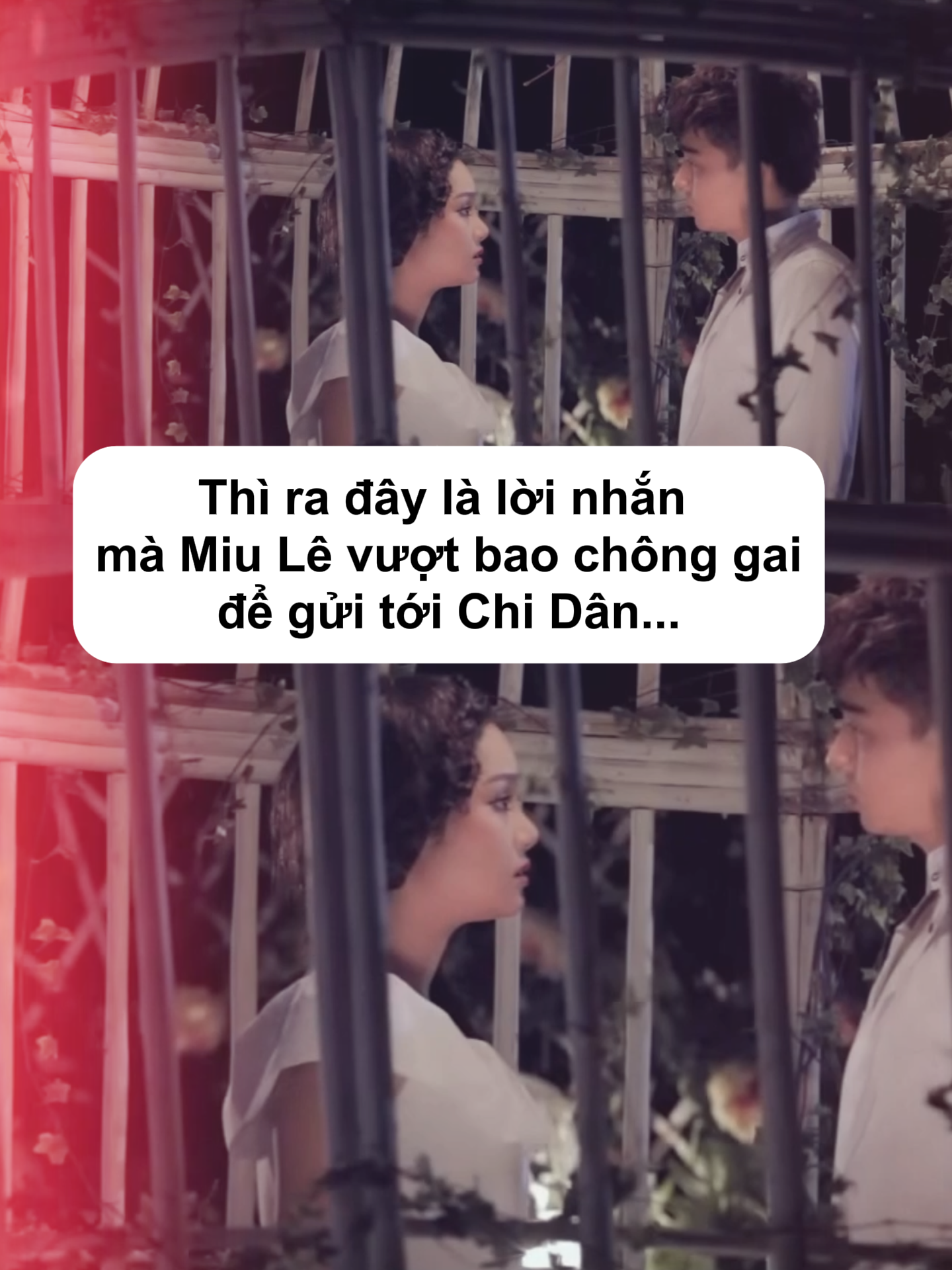 @ỦA GÌ ZỢ