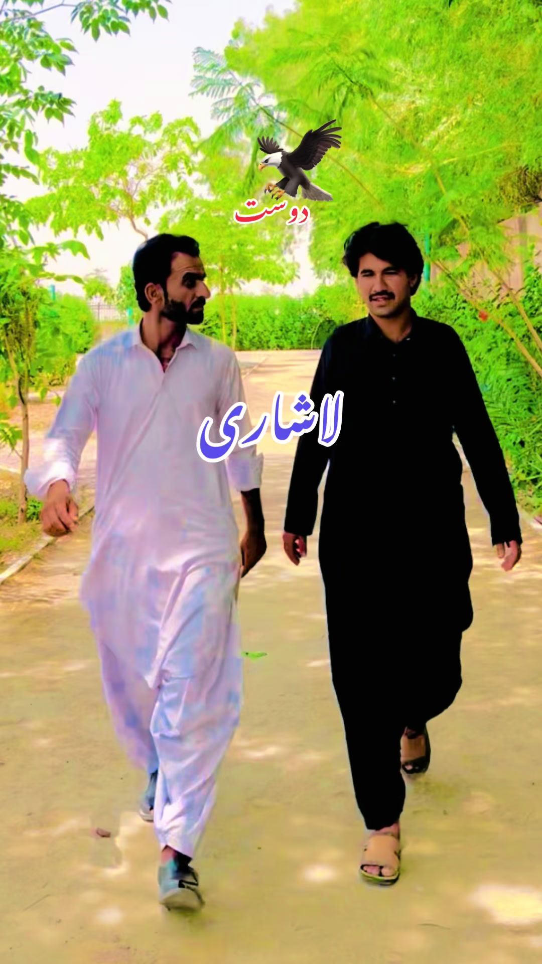 @𝐒𝐢𝐧𝐠𝐞𝐫𝑄𝑎𝑑𝑖𝑟𝐋ashari