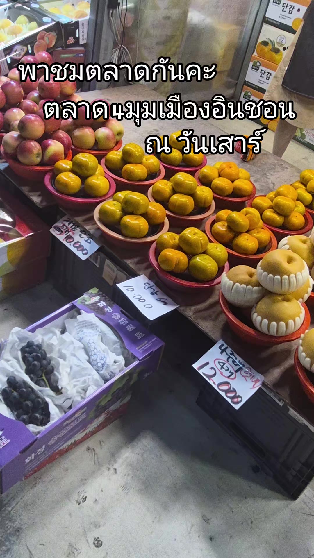 @พระสนมเอกขมิบศรี จิมิผจญภัย2
