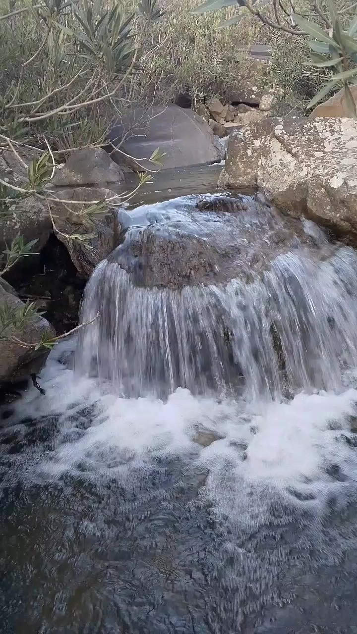 @قناة التوحيد