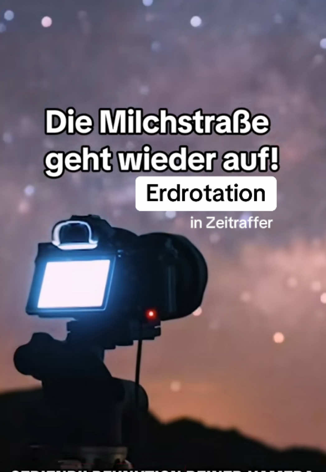 @Dr. Sebastian Voltmer ✨