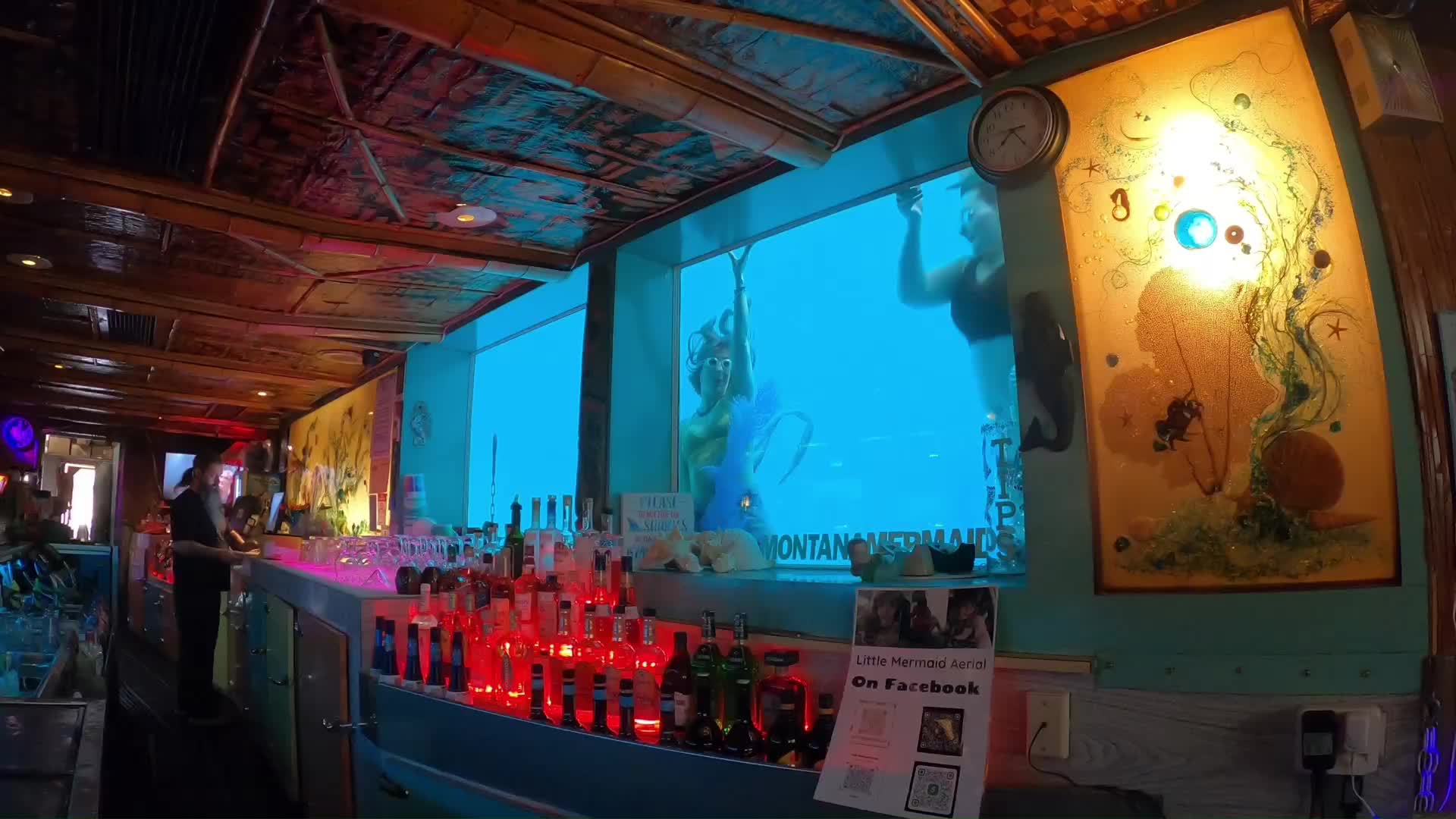 @Little Mermaid Aerial