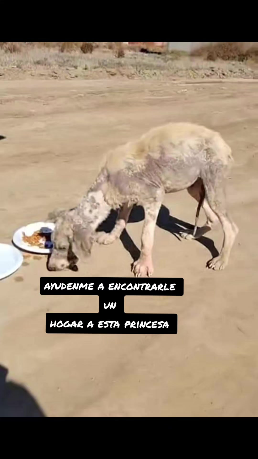 @Gloria Arellano Ramirez