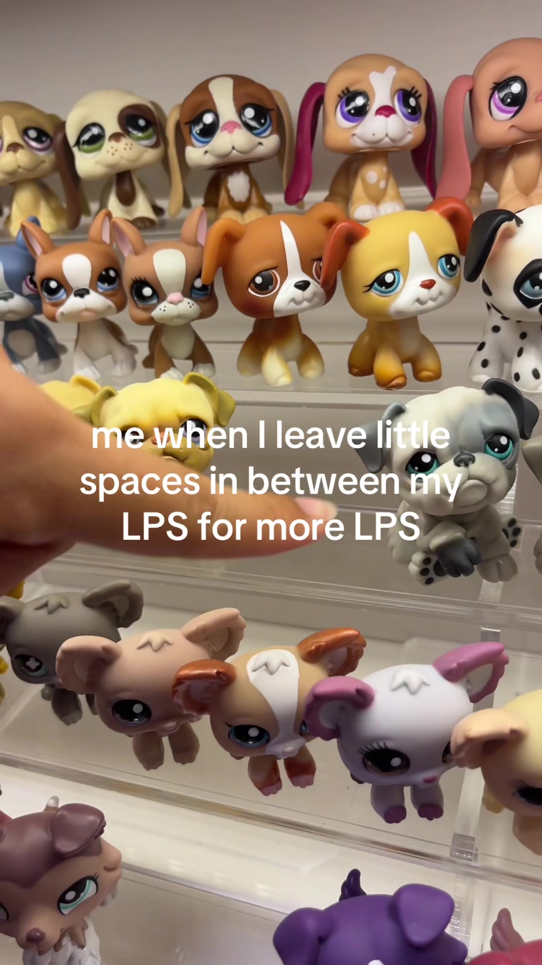 @Alyssa 🧸