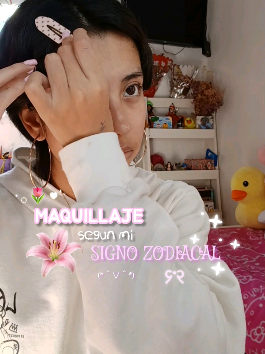 @୭ ˚ ׅ ࣪ felifresitaa 🍓 .ᐟ