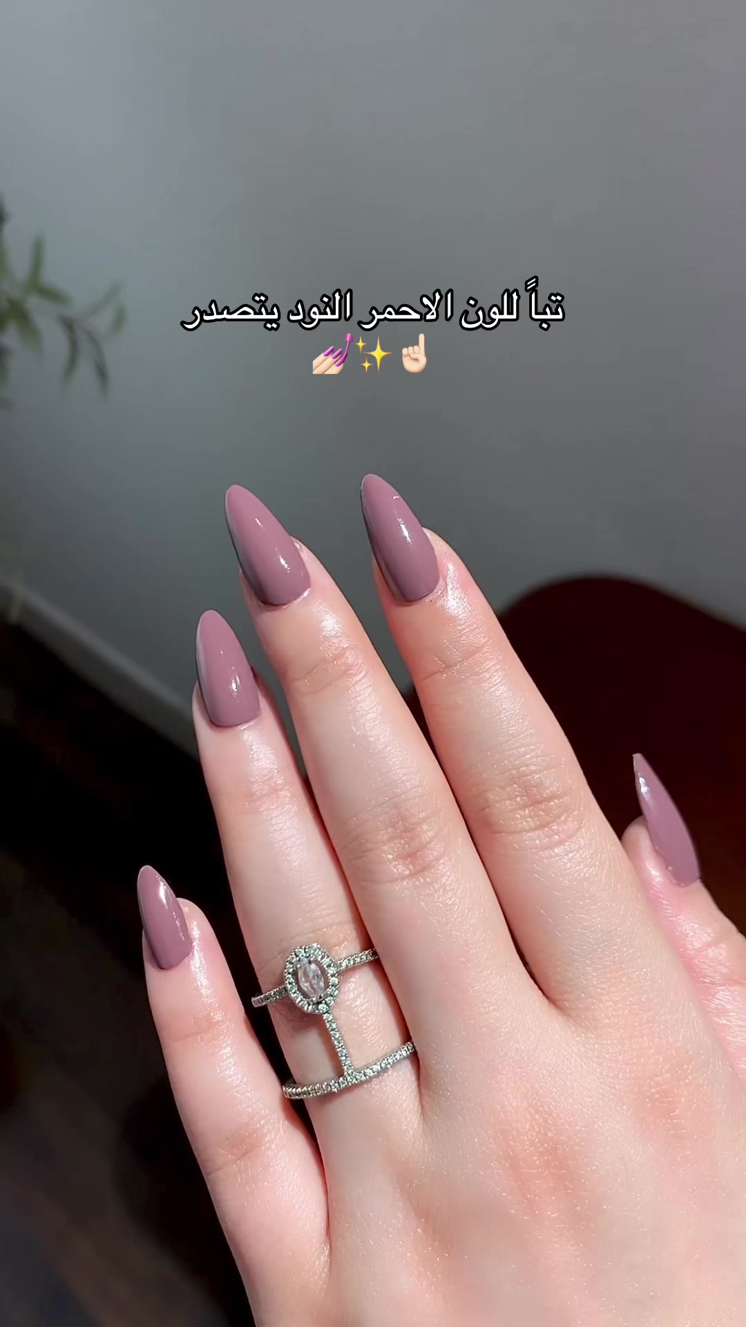 @اندلين بيوتي✨