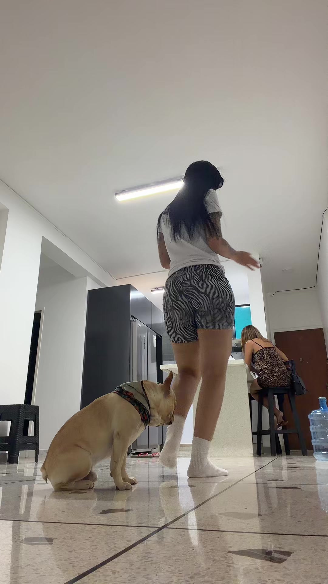 @eli_aa2208