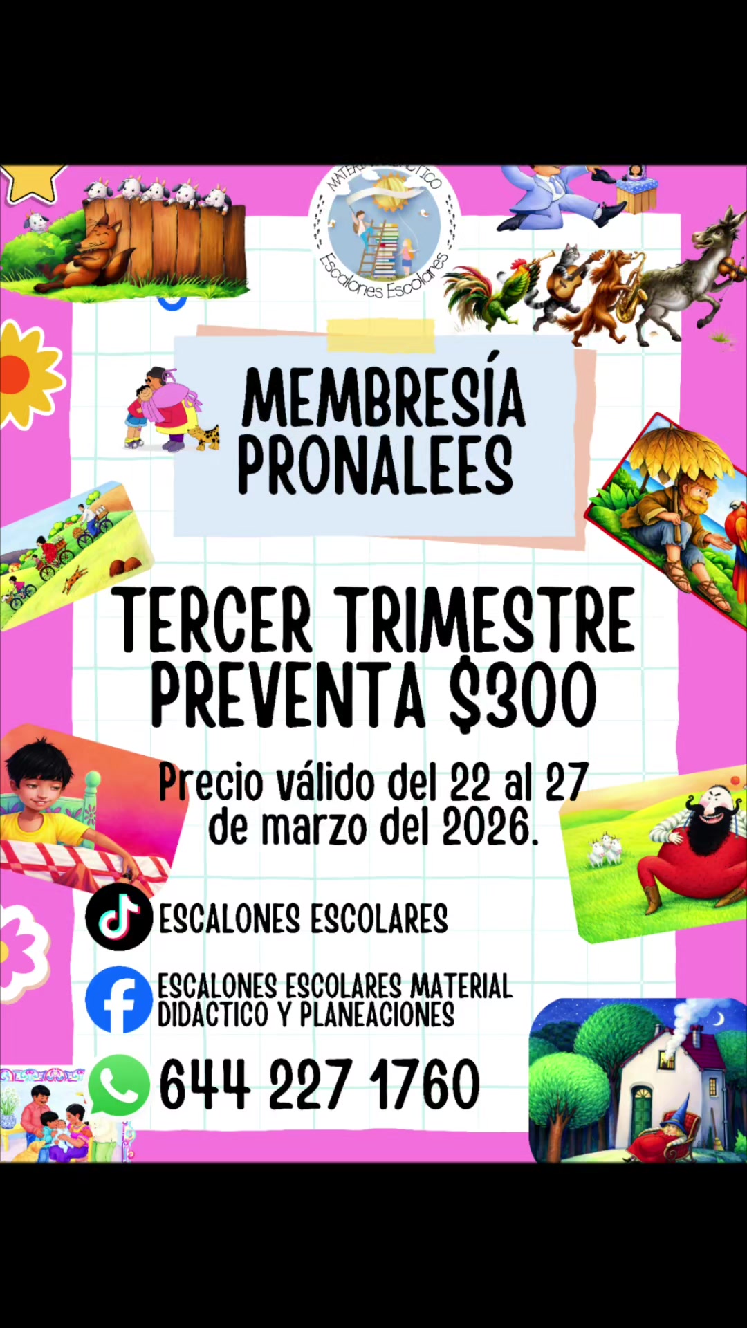 @Material Escalones Escolares
