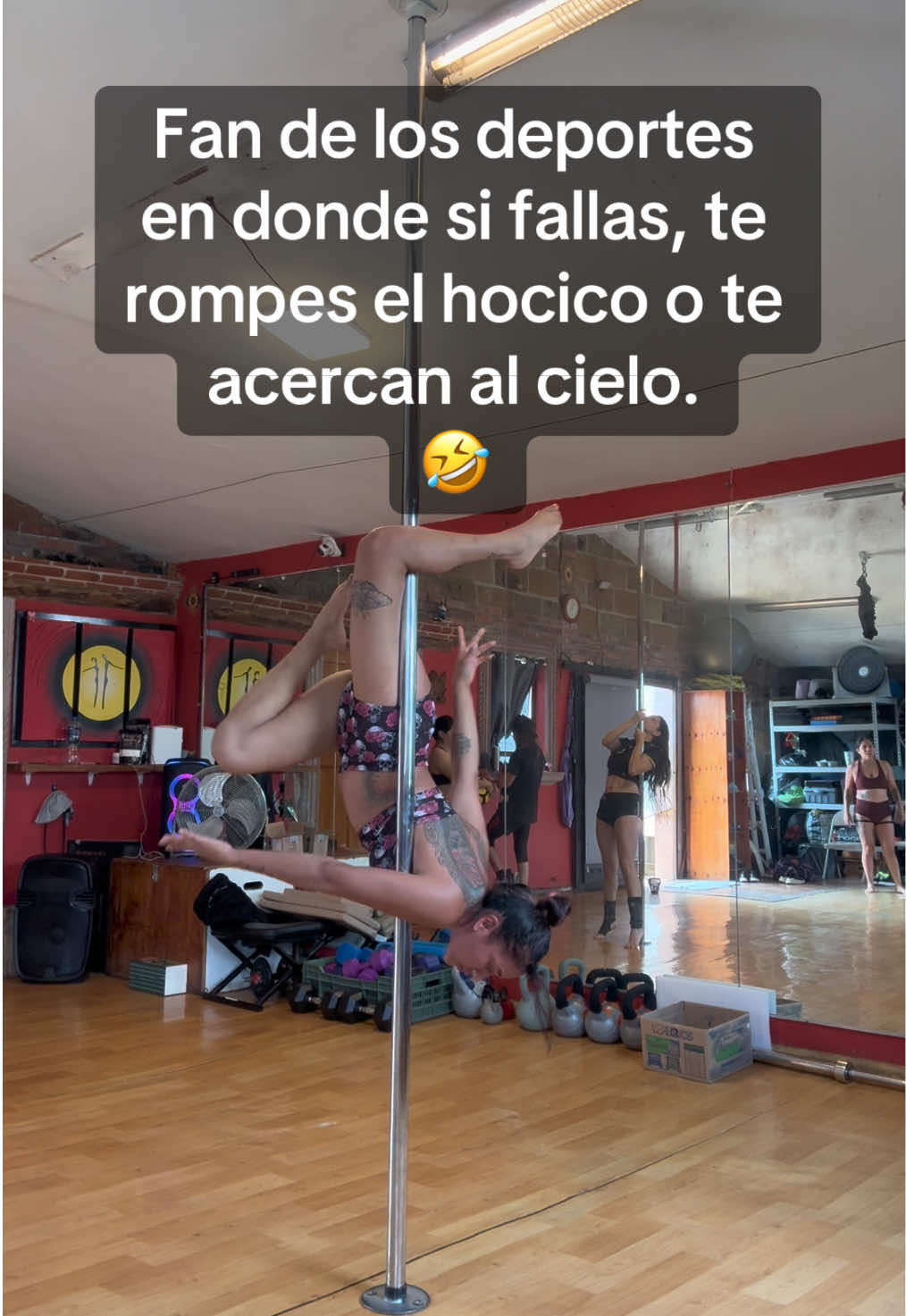 @zhuka_pole