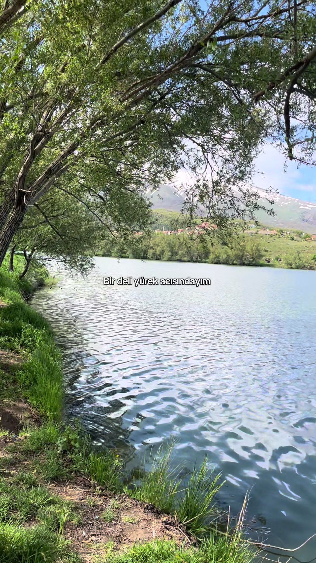 @Nebibe kaygısız