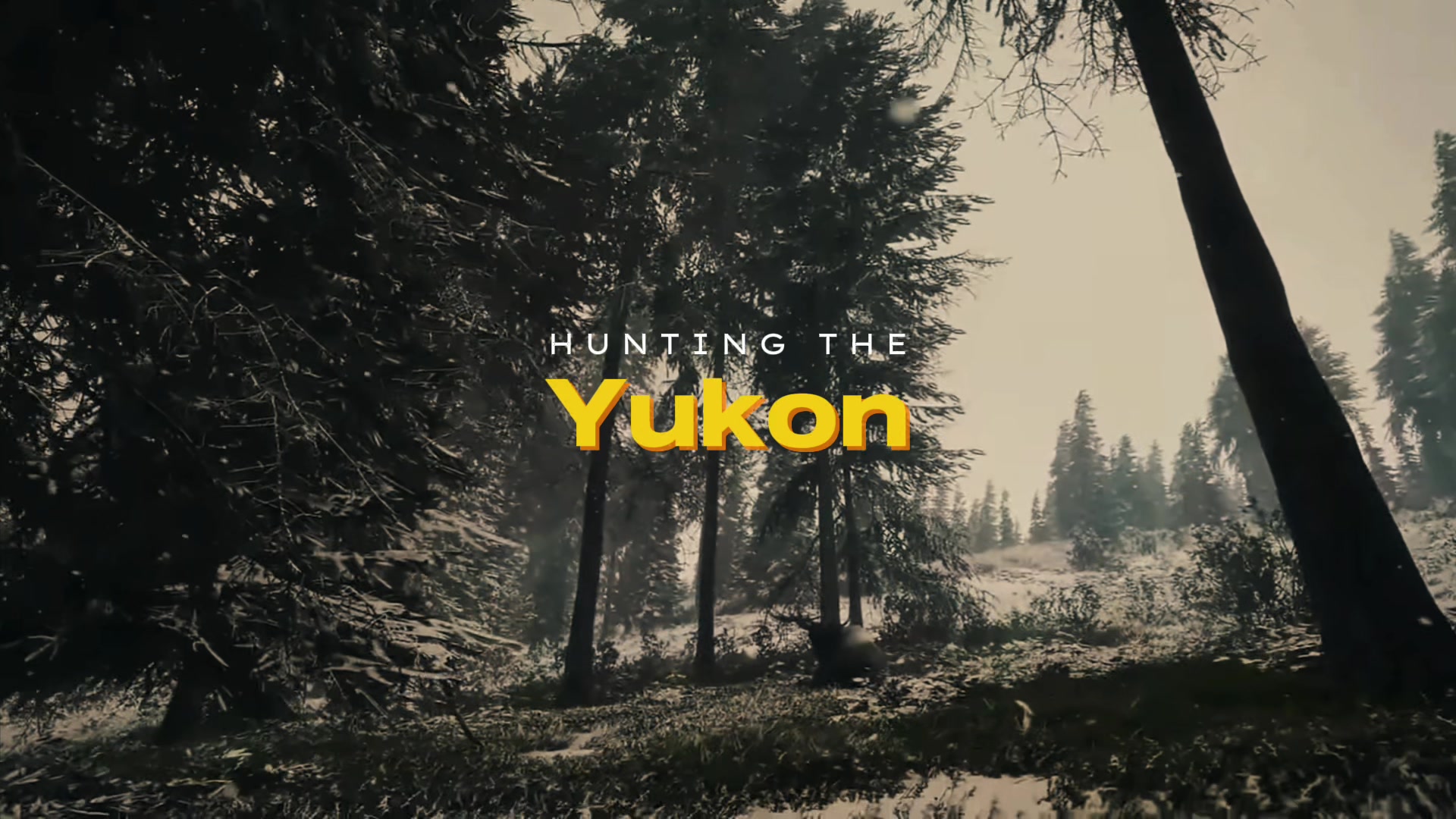 @we_hunt