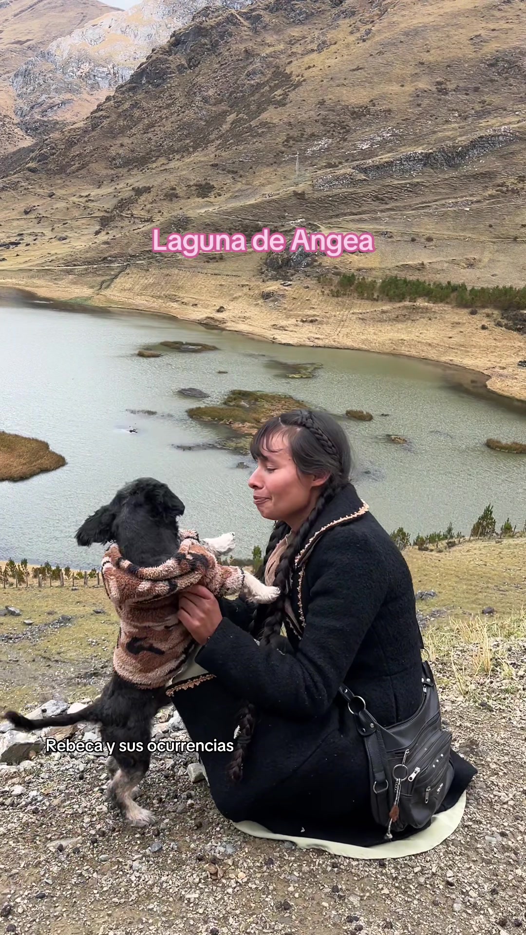 @🐈Rebeca y sus ocurrencias