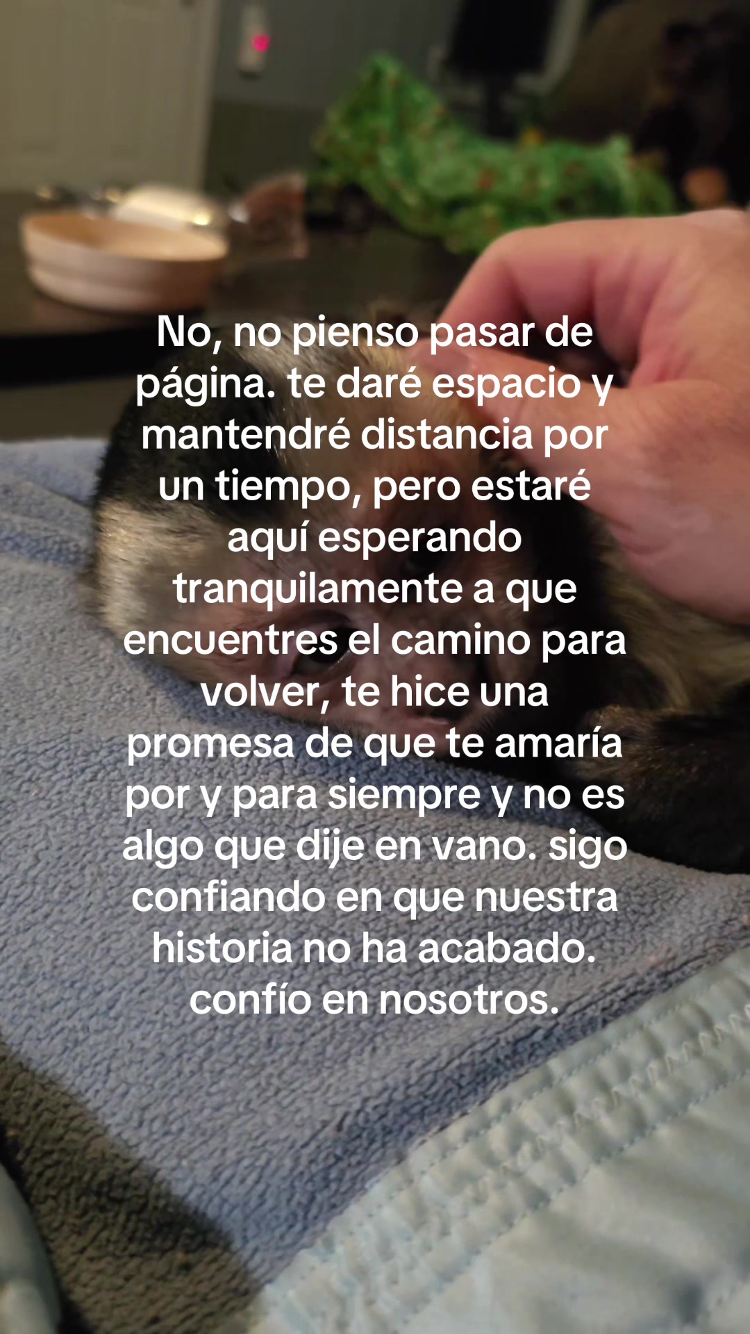 @userdesconocido
