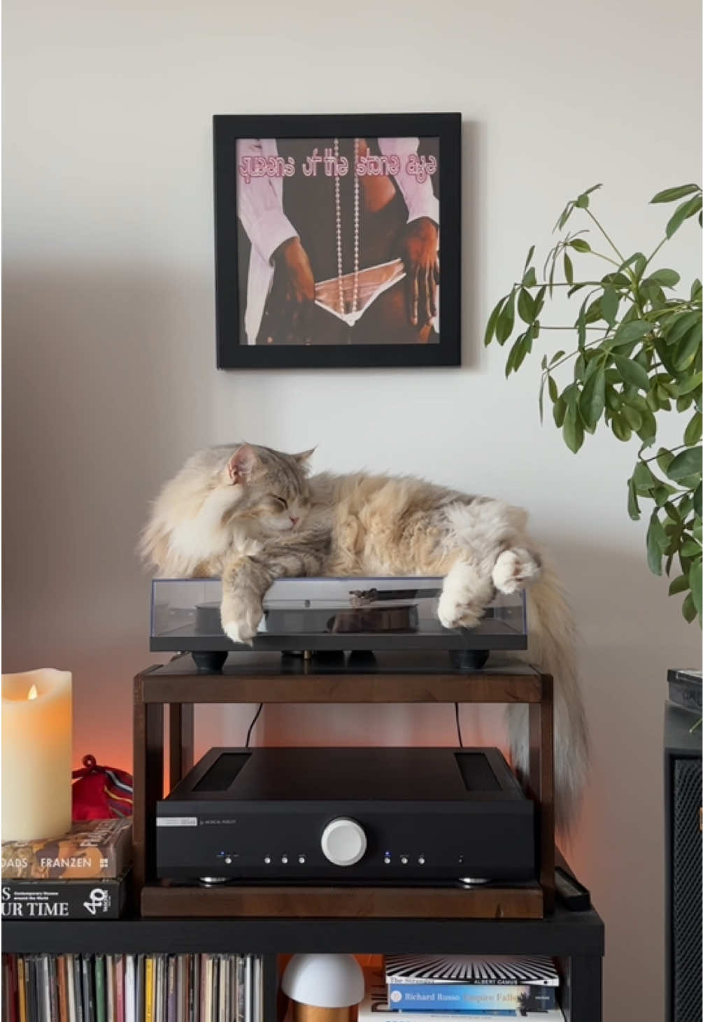 @Leon The Vinyl Cat