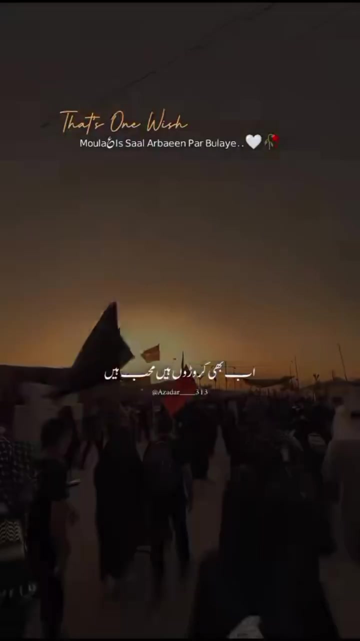 @kaneez e zehra