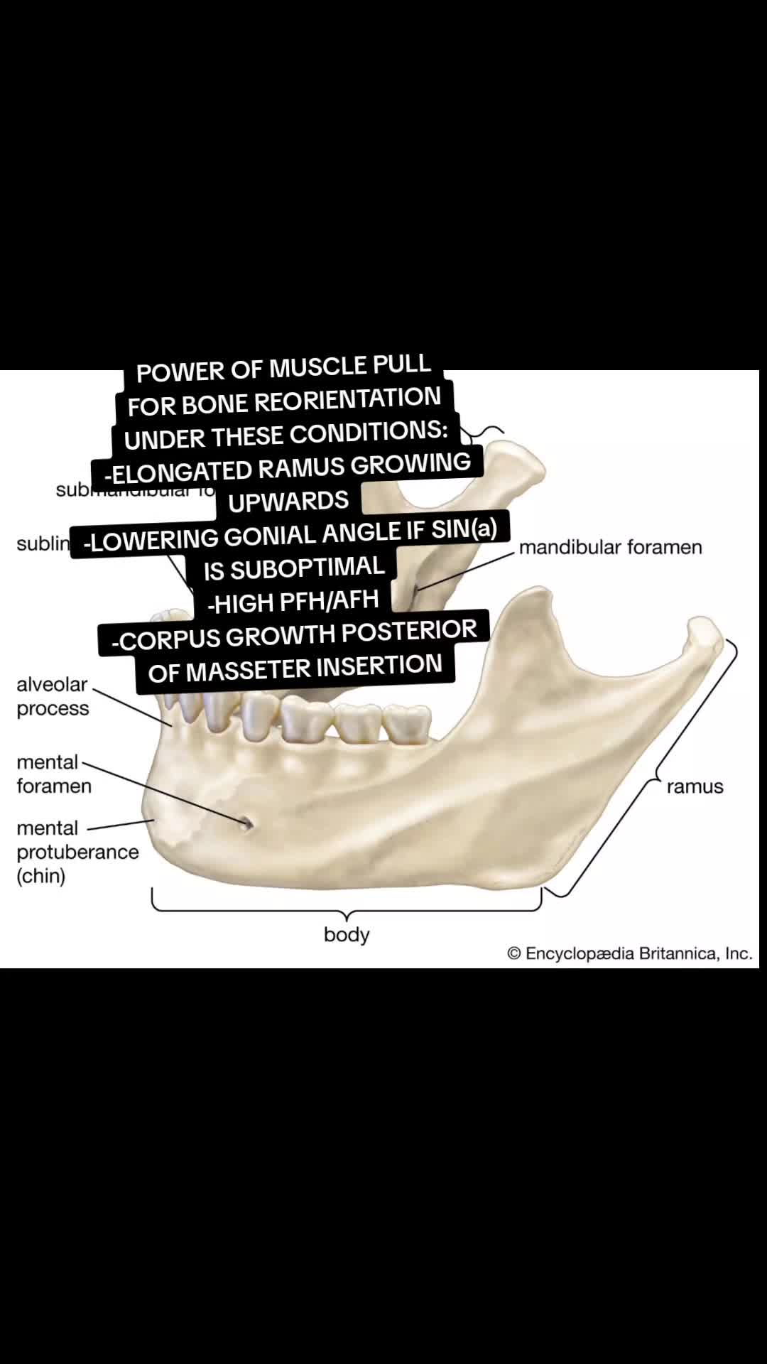 @BpedPreMed
