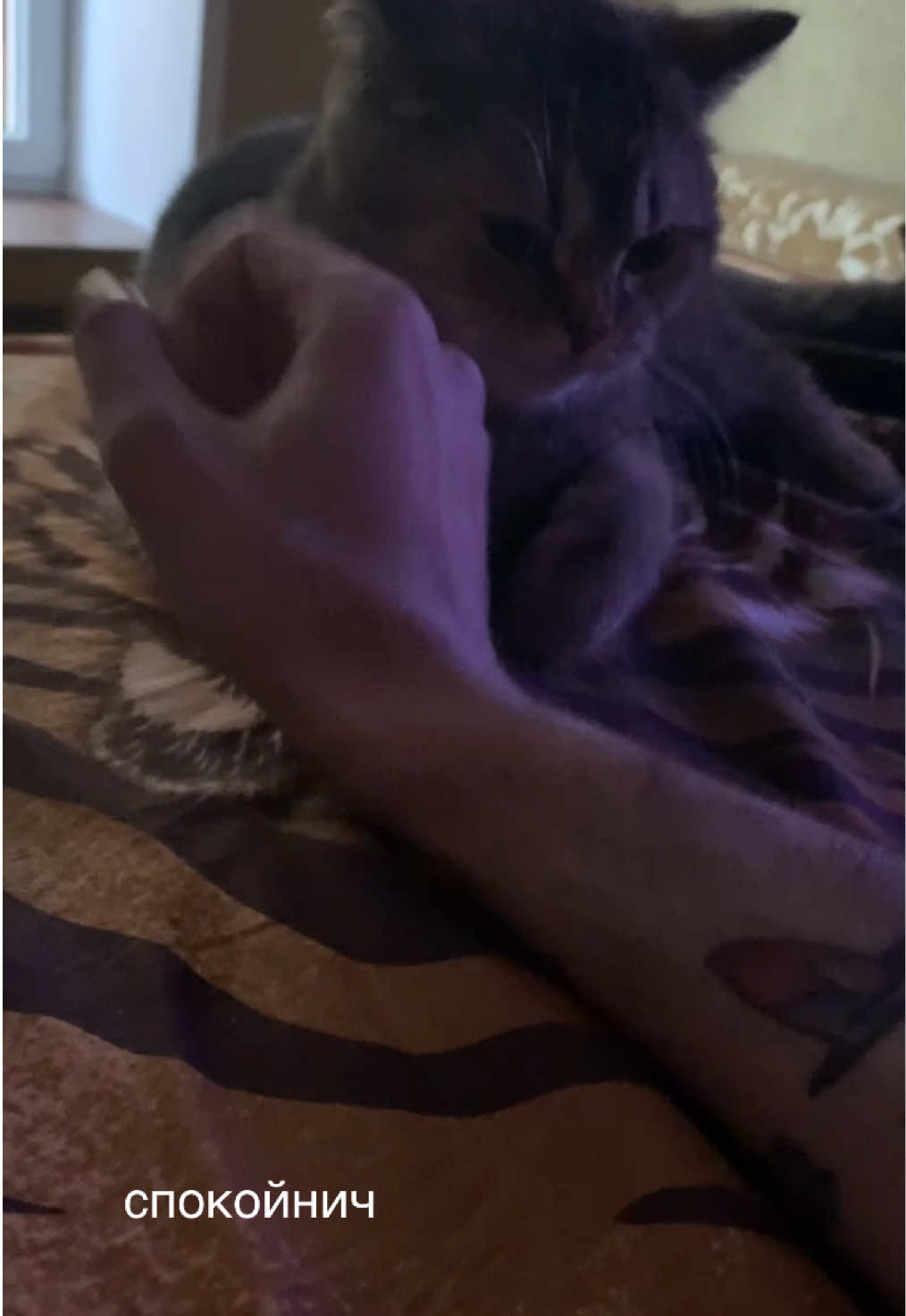 @сладкая вуру