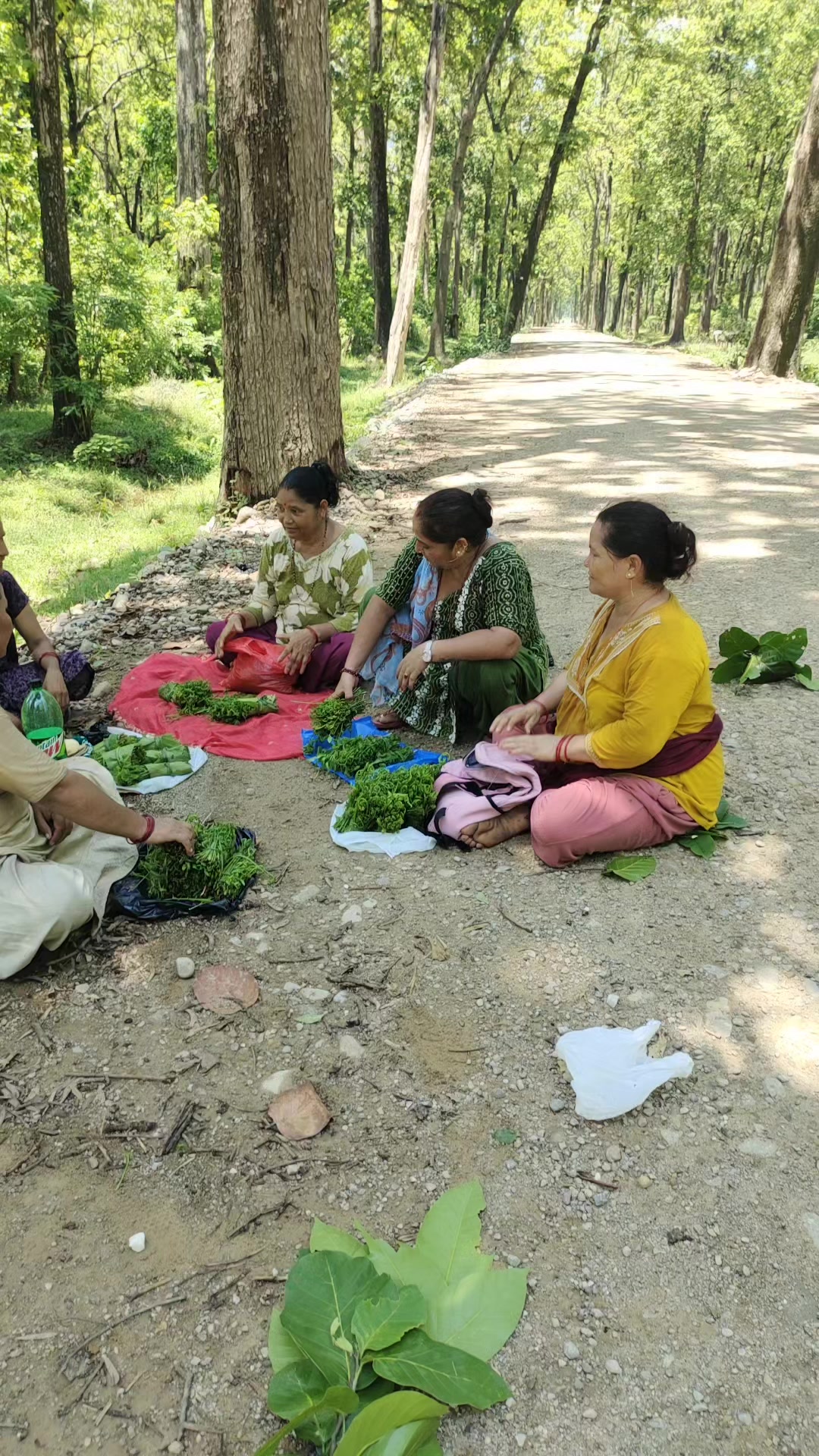 @amrita khadka oli