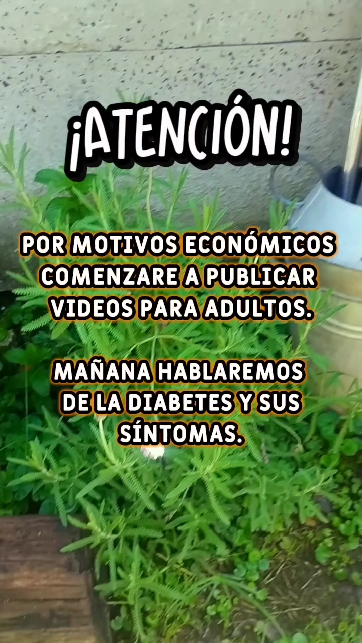 @Lizbeth