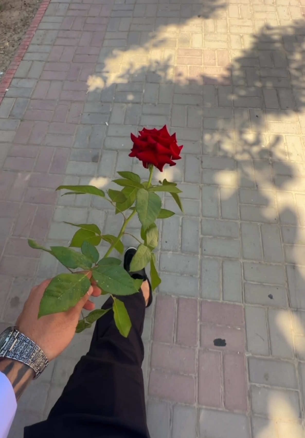 @drako.uzrap
