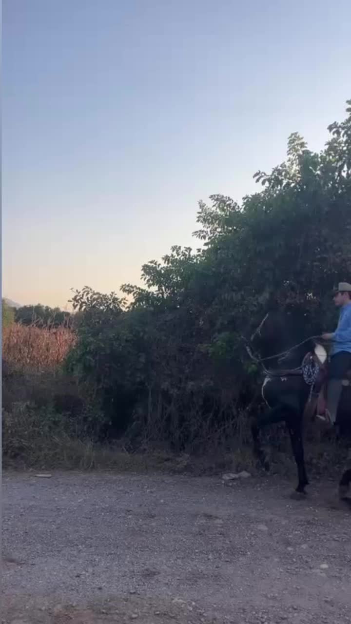 @K.borja🐴