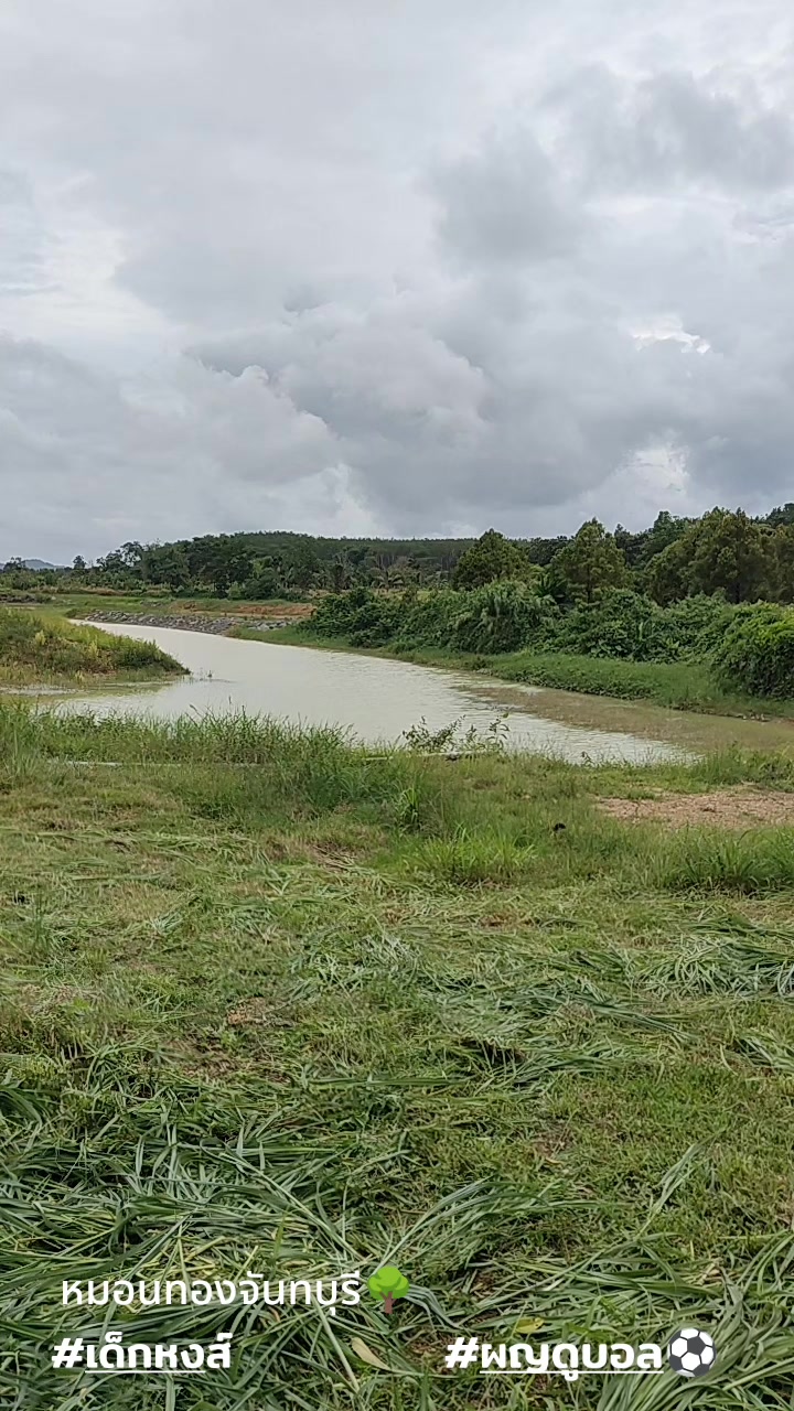 @Tew Nongporn