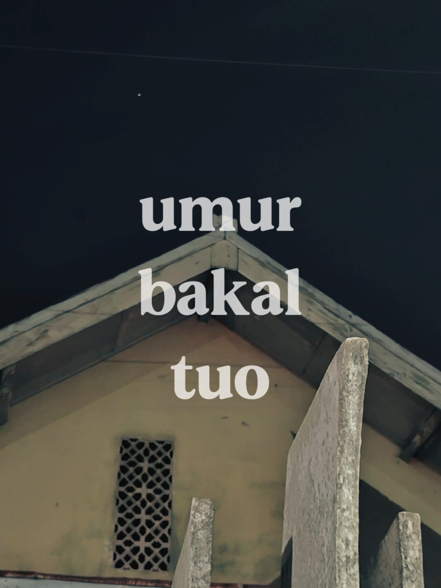 @id capcut : @maslil26