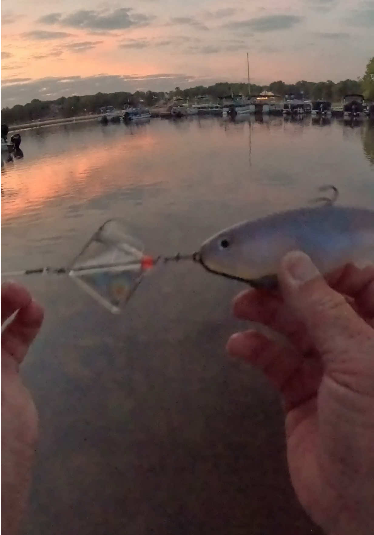 @Tacklehead Fishing