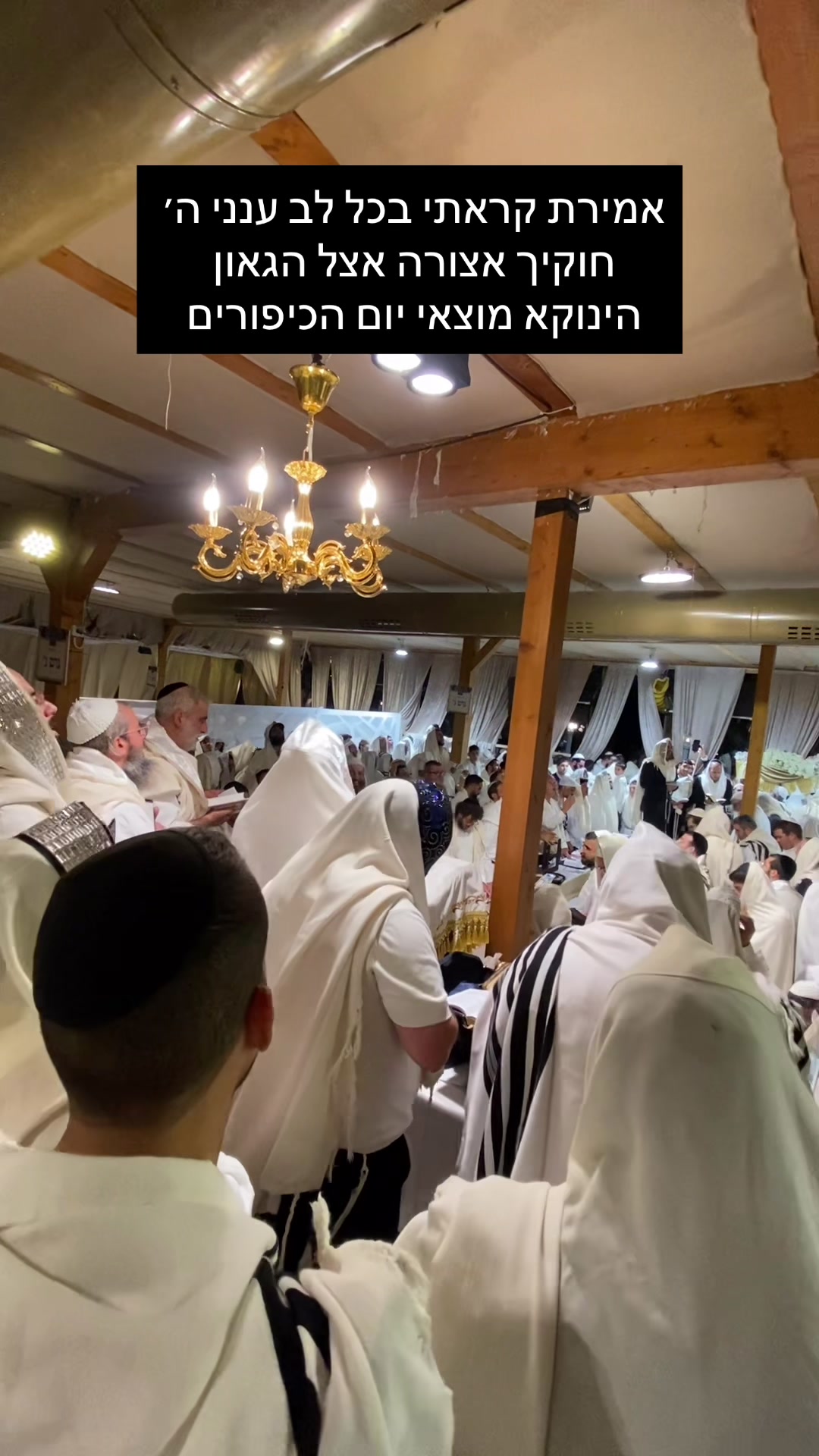 @הינוקא העמוד הרישמי