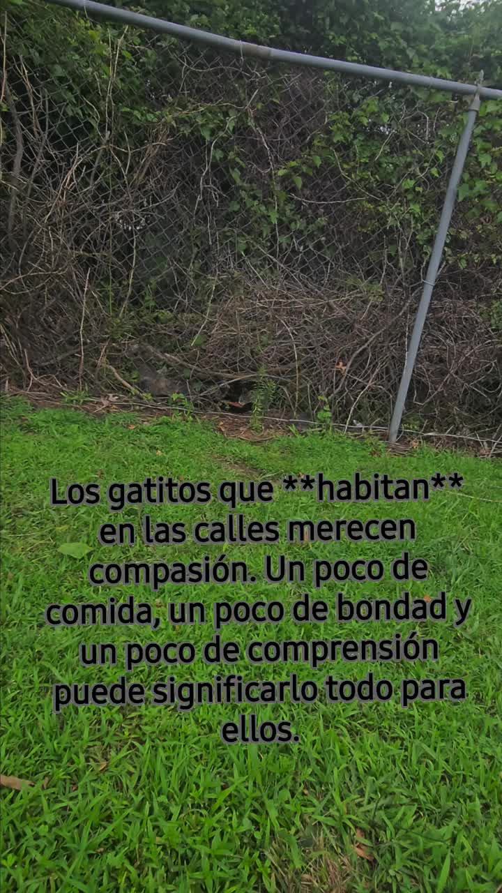 @🇲🇽Guli.Carrada 🐈⬛