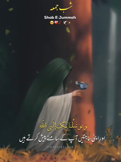 @𝐙𝐀𝐈ن𝐀𝐛ރ