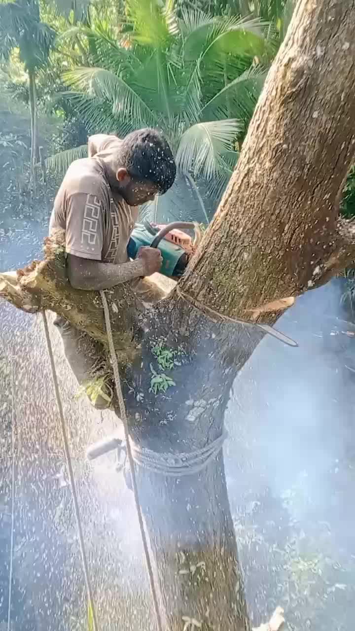 @যশোরের পোলা