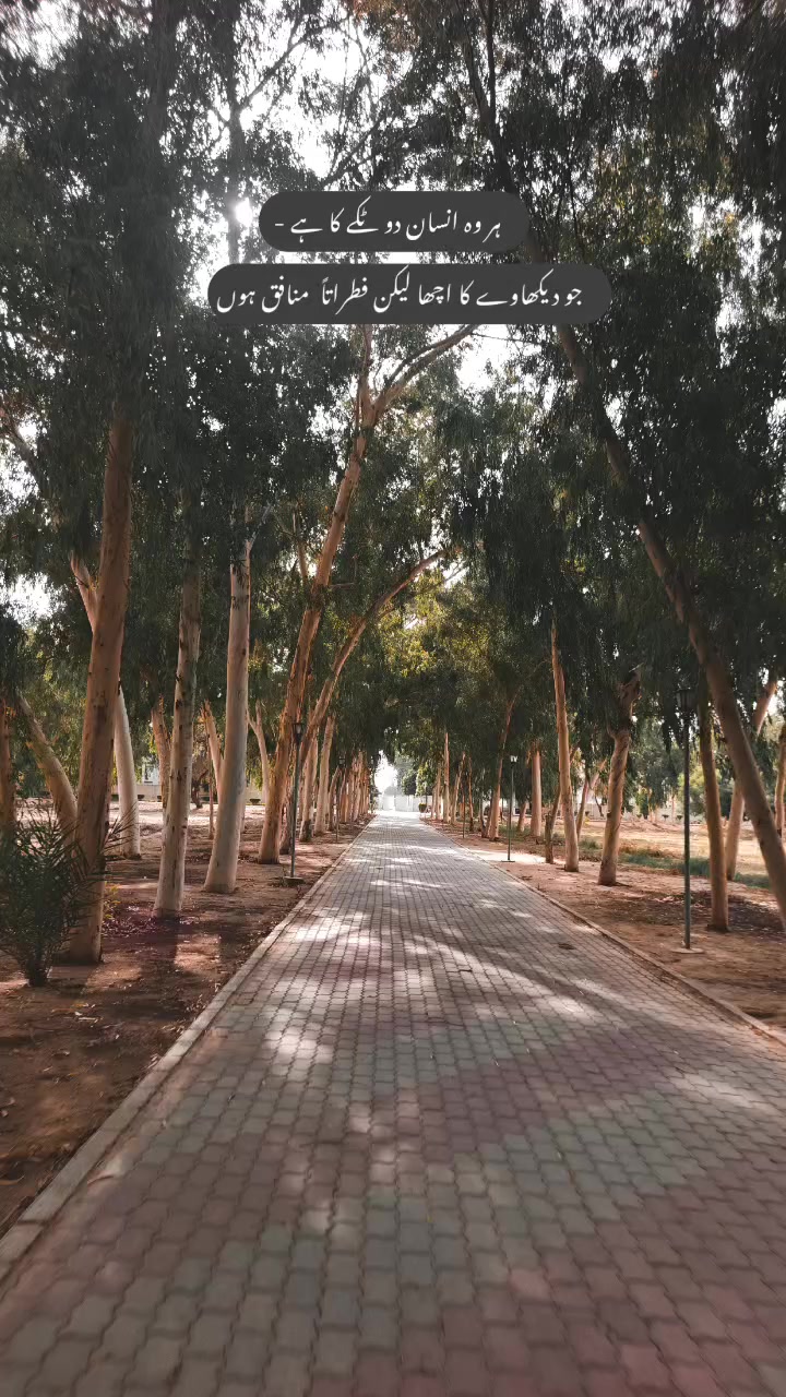 @Muntazir Mahdi