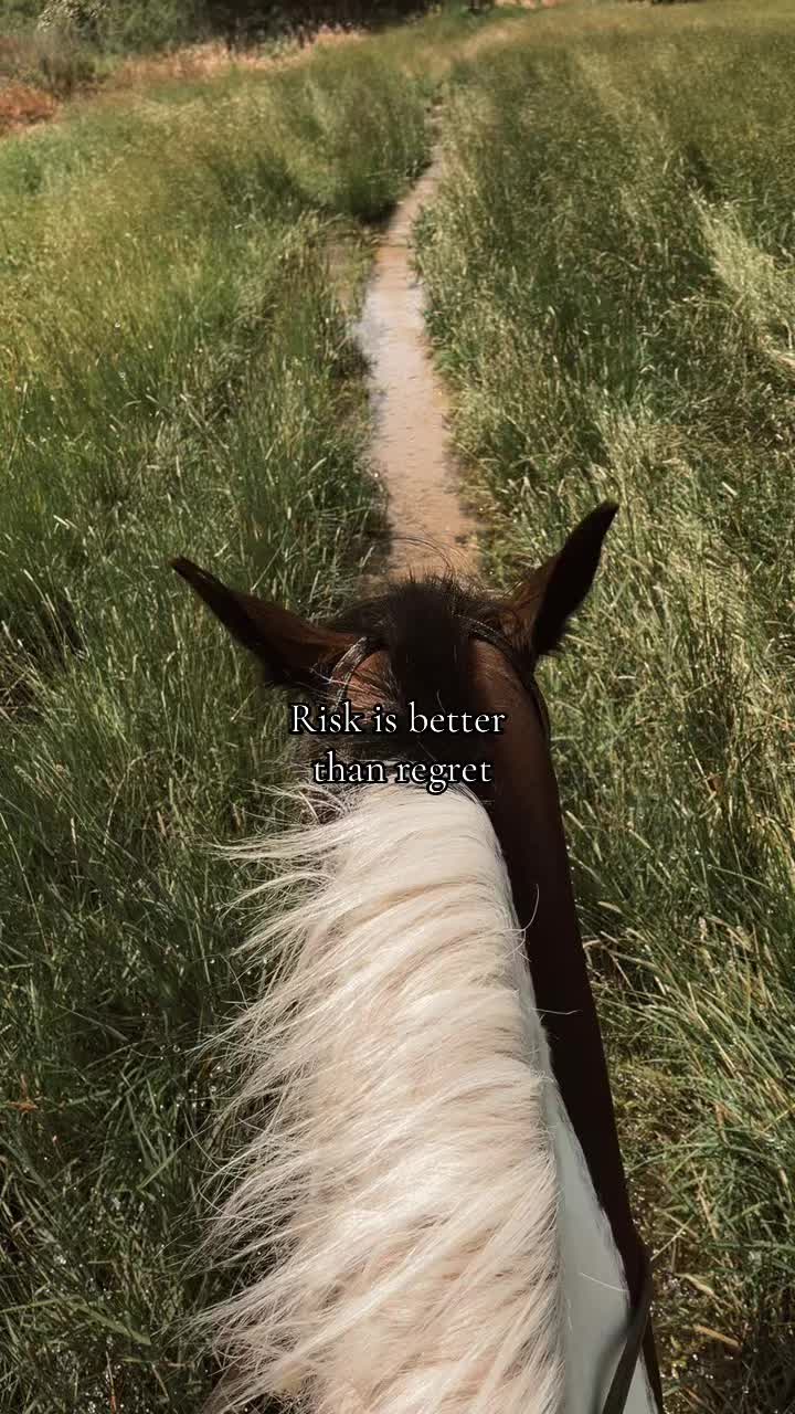 @mav.the.stang