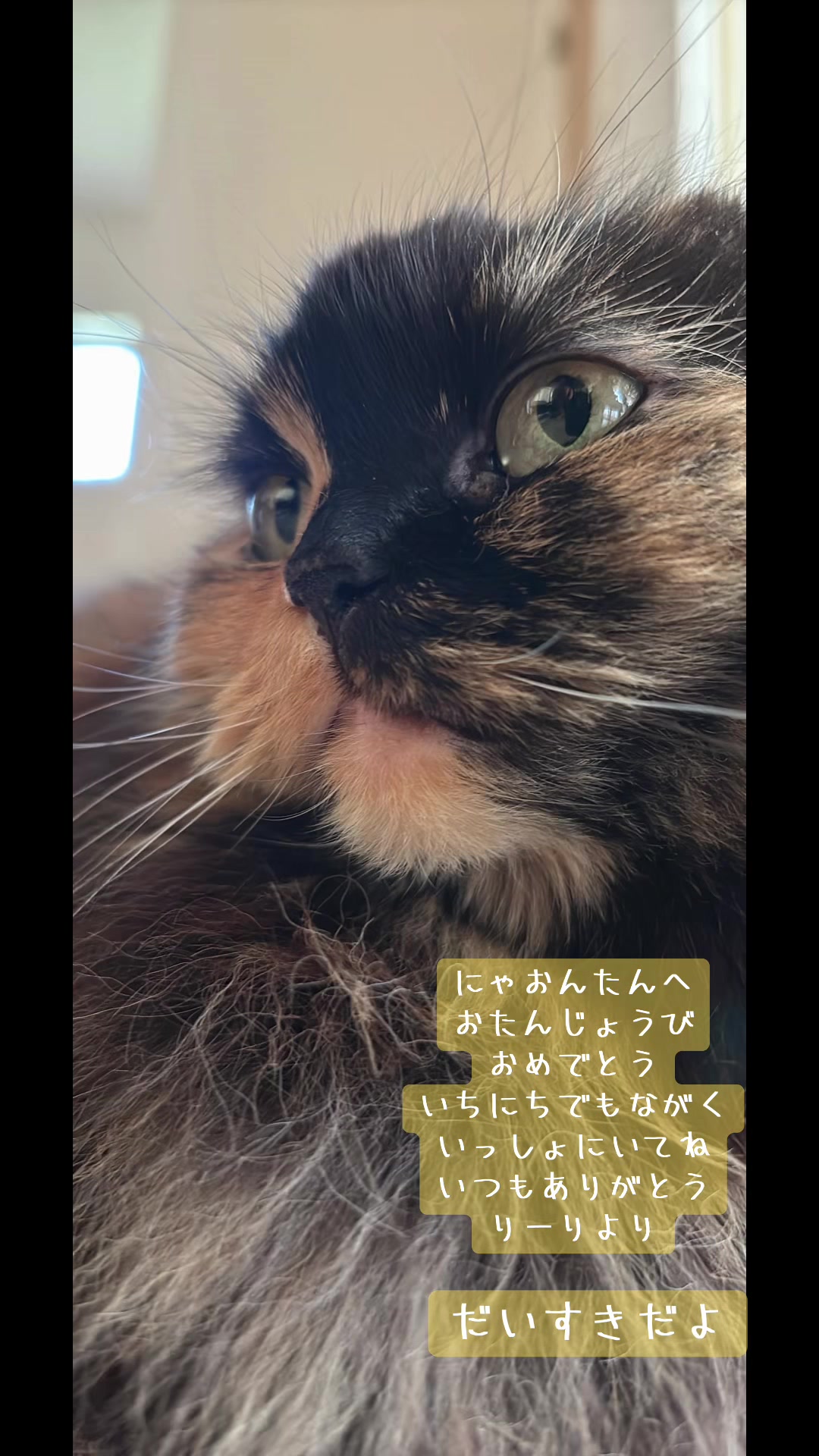 @宮田涼花