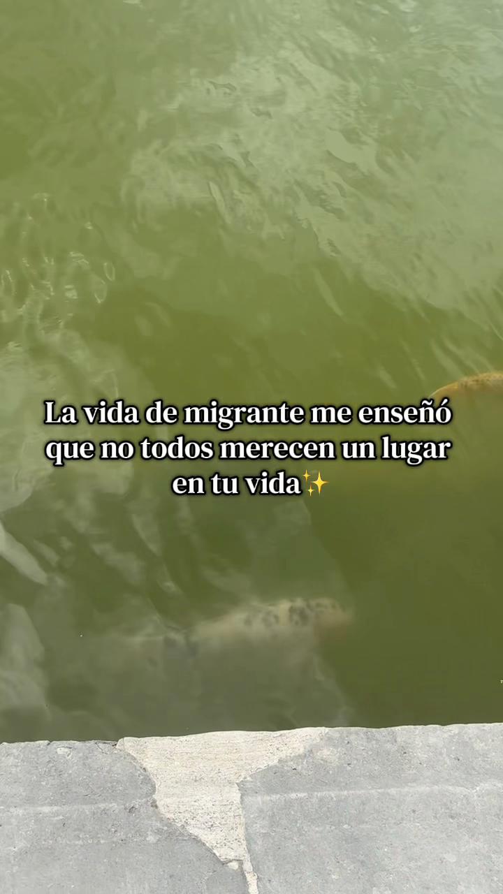 @_LaRatona🇨🇴_🇫🇷