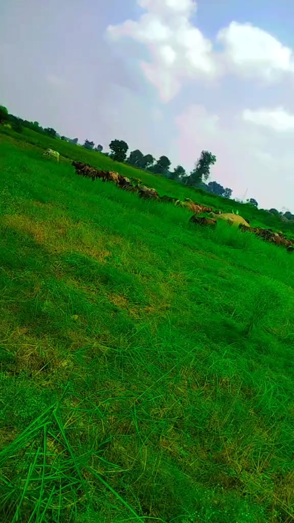 @main arshad kharl