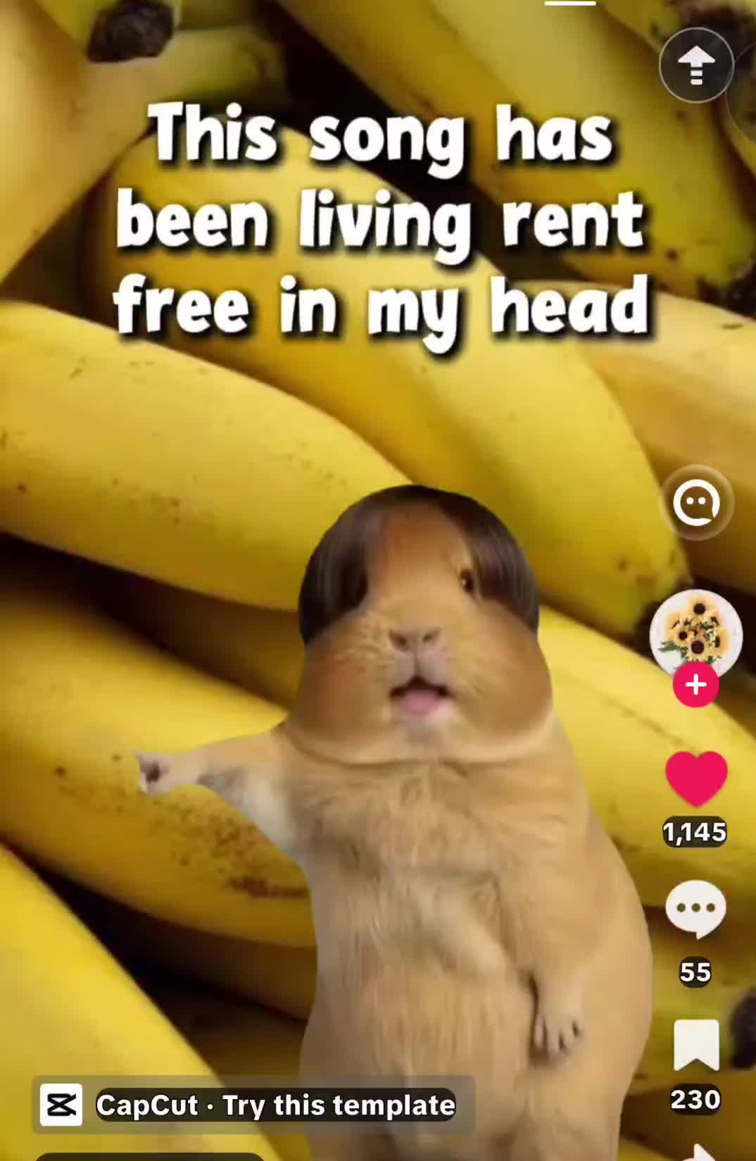 @FastBrian 1