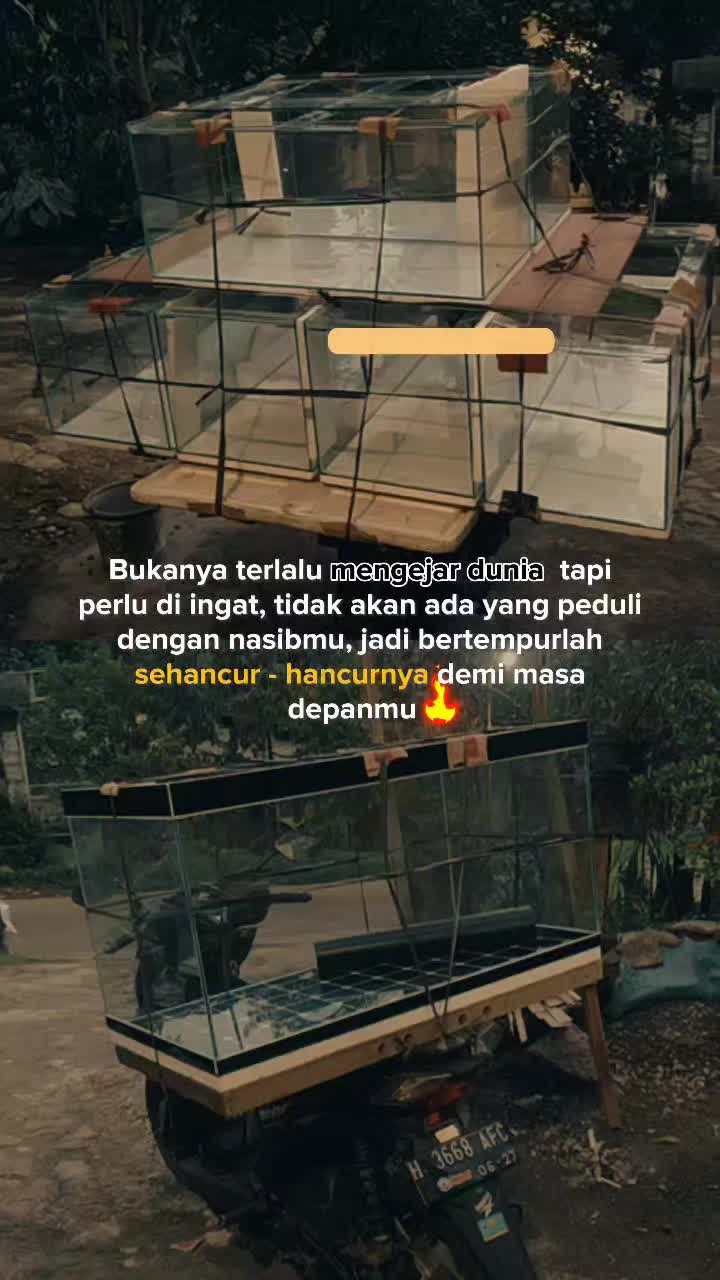 @Blessing_fish