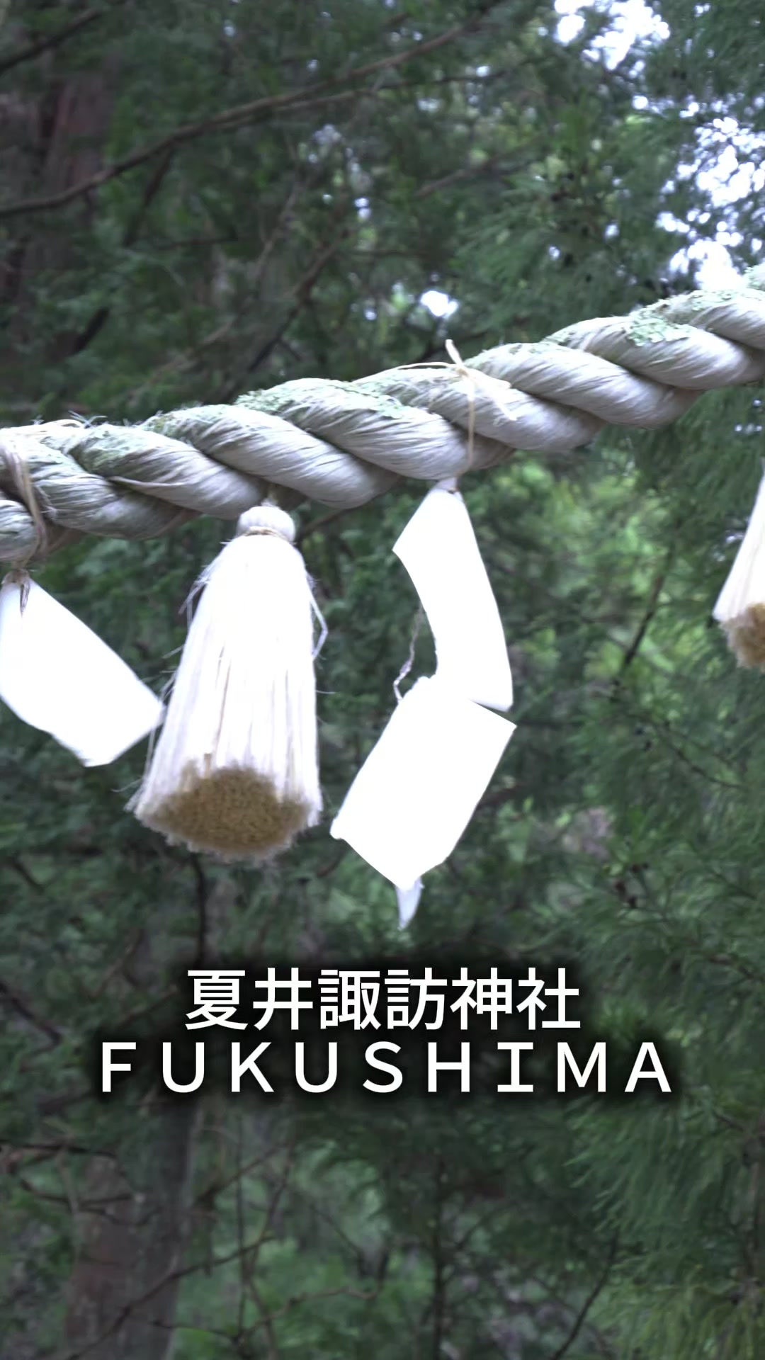 @tabi japan