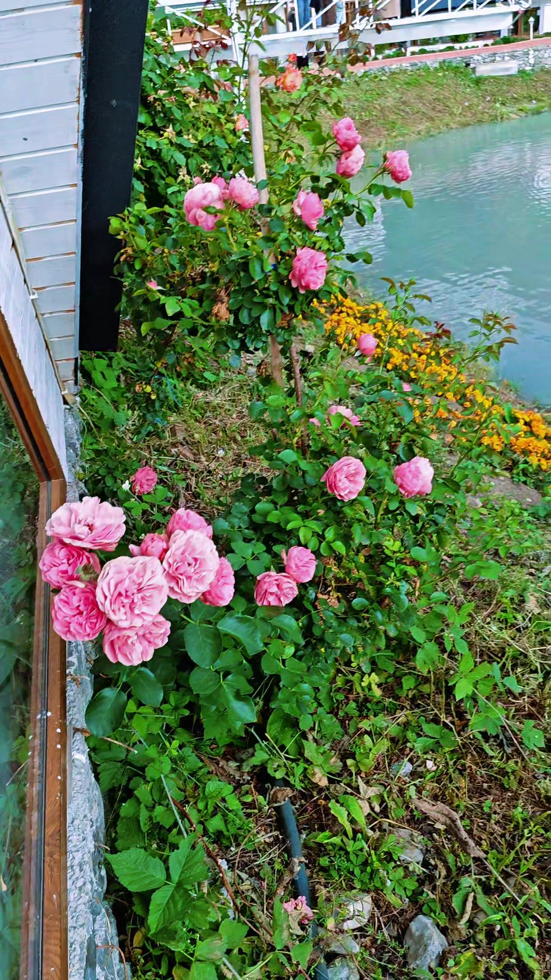 @s_e_r_x_a_n__55