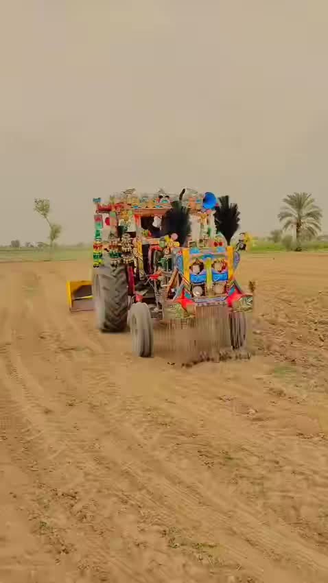 @M  Afzal Solgi 83