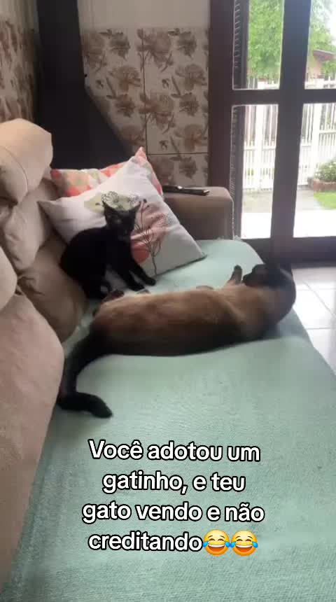 @Luci