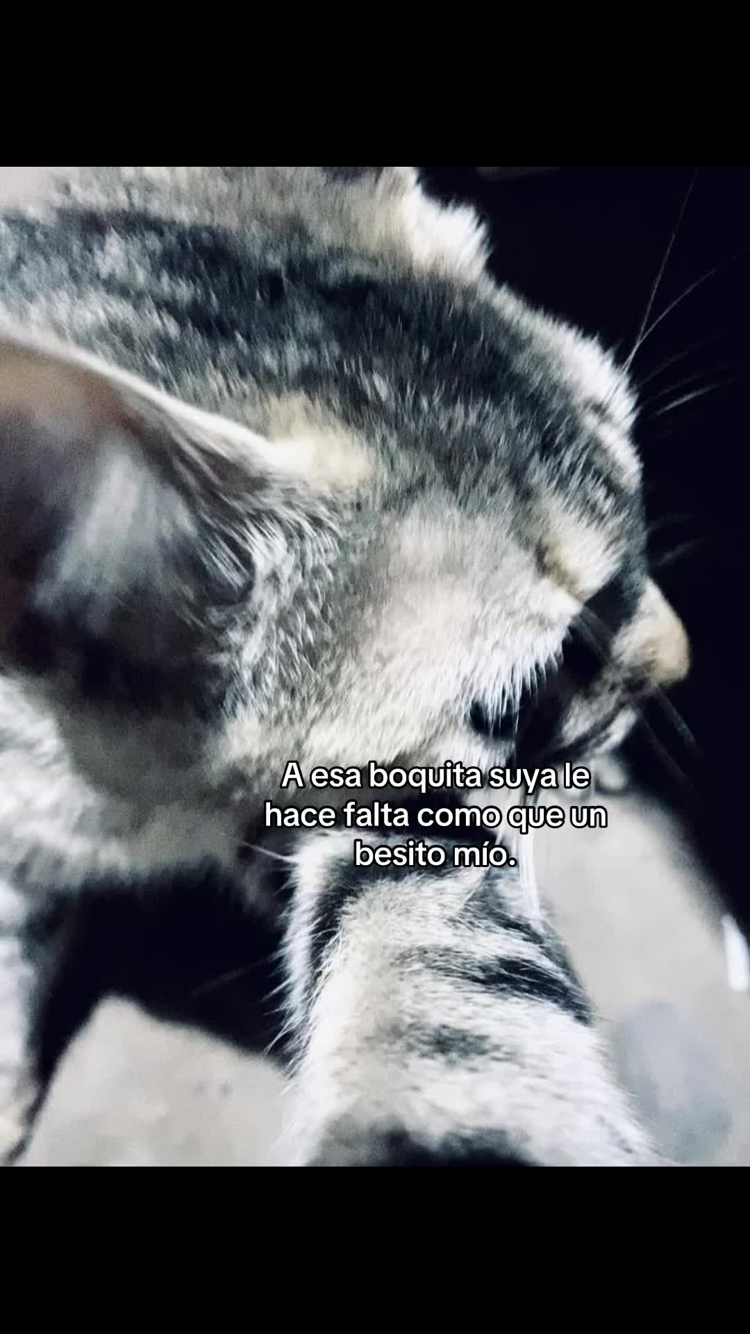 @FraseSitas🧃