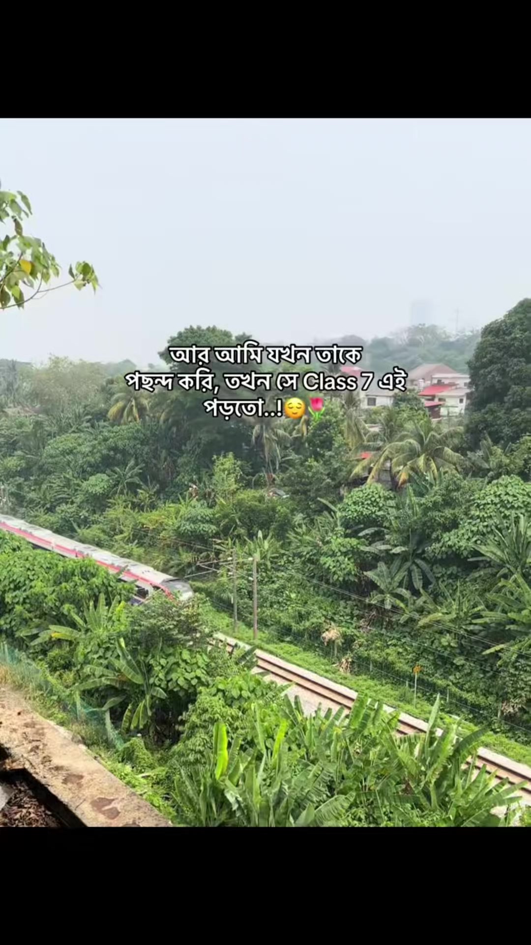 @LX NAZMUL ⚜️