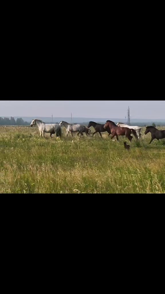 @Юлия