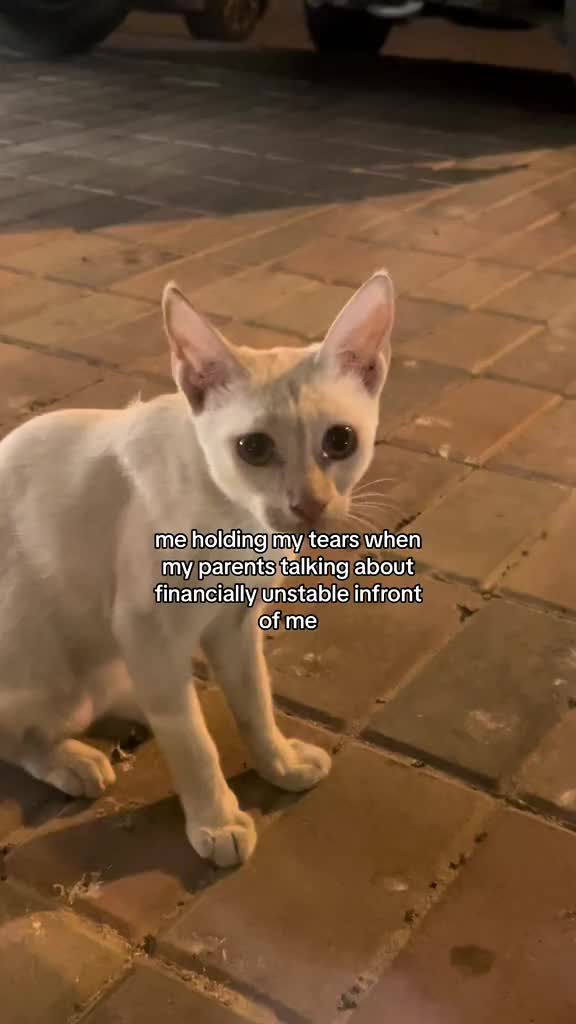 @introvert_🫥