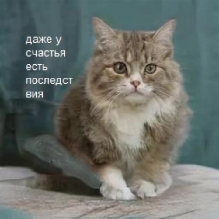 @Пепел